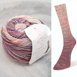
                  
                    Load image into Gallery viewer, Laines du Nord Paint Gradient Sock
                  
                