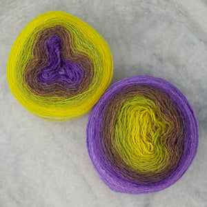 
                  
                    Load image into Gallery viewer, Freia Alpaca Silk Lace Ombre
                  
                